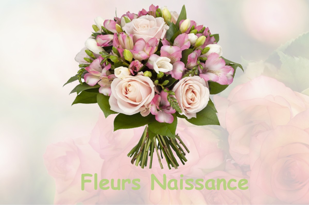 fleurs naissance CUSSY-LA-COLONNE